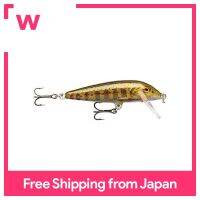 Rapala Minnow อุปกรณ์นับถอยหลัง3ซม. 4กรัมสีทองสำหรับเด็กและเยาวชน CD3-GJTR GJTR