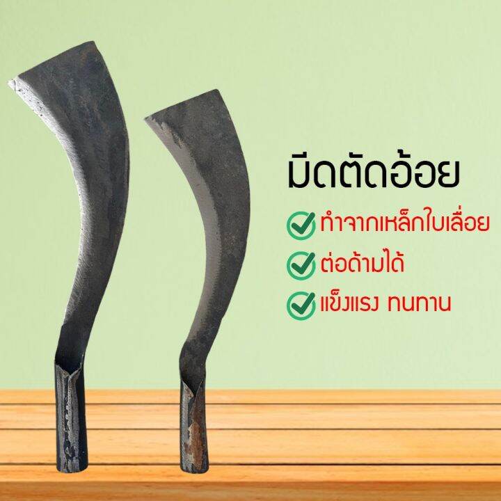 มีดตัดอ้อย-มีดพร้า-มีดถาง-มีดหวด-มีดพร้า-มีดตัดลำมัน-มีดตัดท่อนอ้อย-มีด-qrdf47566-313