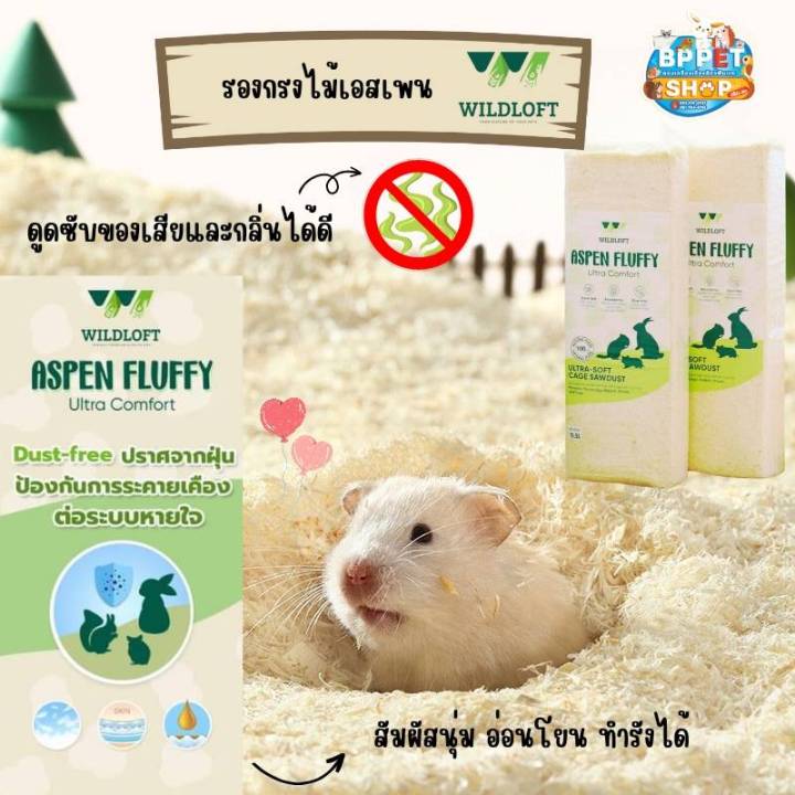 รองกรงหนูแฮมสเตอร์-wildloft-aspen-ทำจากธรรมชาติ-bedding-hamster-ขี้เลื่อยเอสเพน-รองกรงไม้เอสเพน-ขี้เลื่อยหนูแฮมสเตอร์