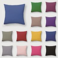 Clarissali Polyester Cover Warm Cushion Colorful Bedroom Waist Pillowcase