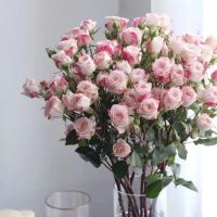 [COD] Multi-headed roses Yunnan Kunming base direct hair flowers wholesale water home office decoration gift-giving