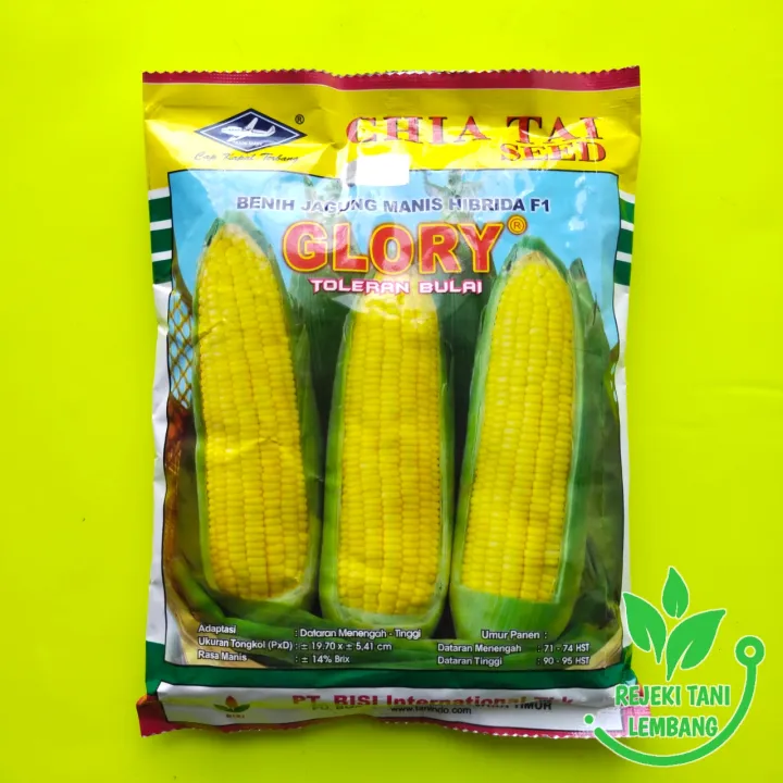 Benih Jagung Manis Hibrida F Glory Gr Lazada Indonesia