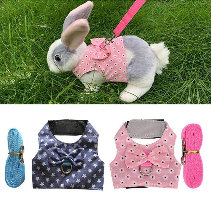 pets-baby-เสื้อกั๊กกระต่ายเซตอานและสายรั้งเดินกลางแจ้งรูปสัตว์ขนาดเล็กเสื้อผ้าน่ารักสำหรับลูกสุนัขลูกแมวหลายขนาดสีน้ำเงิน-ชมพู