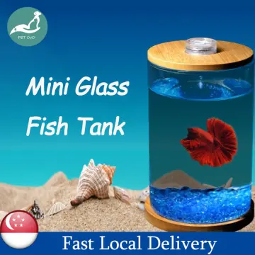 Yee Aquarium Supplies Betta Goldfish Glass Ecological Landscape Fish Tank -  China Tanks and Glass Aquarium Fish Tank price