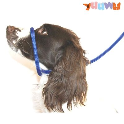 Anti Pull Dogs Leash Halter Head Collar Fits Super Soft Braided Nylon Dog Harness Comfortable Kind Supple Secure Pet Accessories