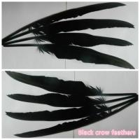 15pcs Halloween Party Event Black Crow Feather Bar Decoration Supplies Crafts Jewelry Making Length 30 35cm