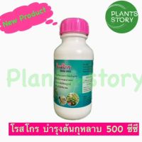 โรสโกร (ROSE-GRO) บำรุงต้น บำรุงกุหลาบ บำรุงต้นกุหลาบ ขนาด 500 ซีซี จำนวน 1 ชิ้น บำรุงต้น บำรุงใบ บำรุงราก สำหรับ กุหลาบ ใช้ร่วมกับ ปุ๋ยกุหลาบ