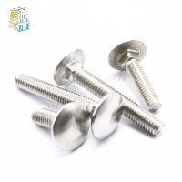 10PCS M6x12/16/20/25.....65mm 304 stainless steel Carriage Screws Carriage Bolts Shelf Screws Computer Desk Accessories