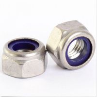 30/10pcs Stainless Steel Nyloc Nylock Lock Nuts M2 M2.5 M3 M4 M5 M6 M8 M10 M12 2m 4mm 6mm DIN 985