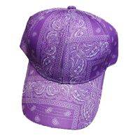 ใหม่ ~~ ใหม่หมวกผ้าพันคอหมวก Trucker หมวกคุณพ่อปรับได้หมวกเบสบอลลาย Paisley