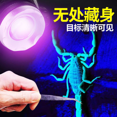ของใหม่ 2021 โคมไฟแมงป่องสีม่วงโคมไฟจับแมงป่องโคมไฟเซ็นเซอร์พิเศษโคมไฟแมงป่องที่สว่างเป็นพิเศษ