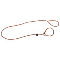 Pet Dog Leash Cowhide Collar Traction Integrated P-chain Dog Leash Is Used To Train Puppy P-chain Pet Supplies