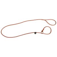 Pet Dog Leash Cowhide Collar Traction Integrated P-chain Dog Leash Is Used To Train Puppy P-chain Pet Supplies