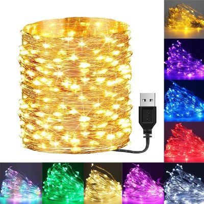 10/50/100 LED Sliver ลวด USB Fairy String Lights งานแต่งงาน Xmas Decor Lamps