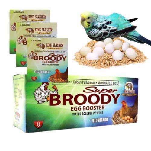 The Bird Shop PH Broody Egg Booster Fertility Vitamins for Lovebirds