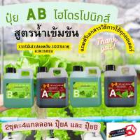 ปุ๋ย A B ไฮโดรโปนิกส์  ทนร้อน ขนาด 2ชุด 4 แกลอน  ร้าน AB ไฮโดรโปนิกส์1