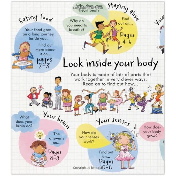 believe-you-can-look-inside-your-body-board-book-look-inside-english