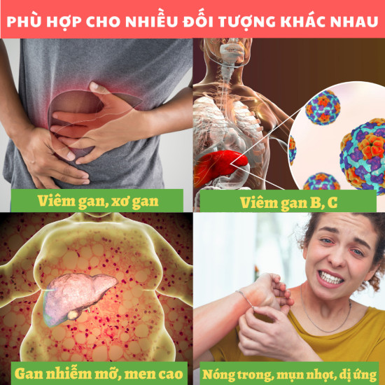 Giải độc gan cà gai leo xạ đen - hỗ trợ bổ gan, thải độc gan, thanh nhiệt - ảnh sản phẩm 2