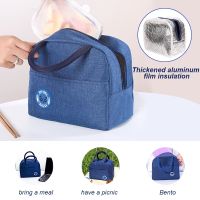 Insulated Lunch Bag Large Capacity Cooler Bag Oxford Portable Zipper Thermal Lunch Bags Insulated Freezer Bag Camping Picnic Bag