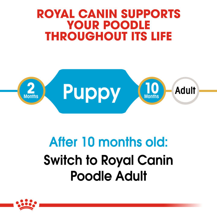 royal-canin-poodle-puppy-โรยัล-คานิน-อาหารเม็ดลูกสุนัข-พันธุ์พุดเดิ้ล-อายุต่ำกว่า-10-เดือน-กดเลือกขนาดได้-dry-dog-food