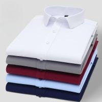 Spring Autumn New Mens Long Sleeve Standard-fit Solid Basic Dress Shirt High-Quality Formal Social White Work Office Shirts