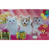 โปสเตอร์ แมว Cat สัตว์เลี้ยง น่ารัก รูป ภาพ วิว ติดผนัง สวยๆ poster 34.5 x 23.5 นิ้ว (88 x 60 ซม.โดยประมาณ)