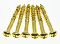 KAISH 6 pcs ST Tremolo Bridge Mounting Screws Gold