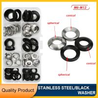 M6 M8 M10 M12 M16 M20 Conical Solid Countersunk Washer Concave Convex Cone Stainless Steel Spherical Gasket Carbon Steel Washer