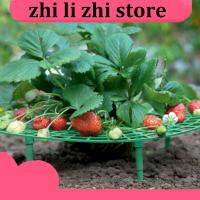 zhilizhi Store 5pcs Garden Strawberry Plant Stand Frame Holder Balcony Planting Rack Support Fruit Flower Climbing Gardening Tools