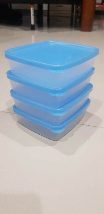 tupperware-กล่องเหมันต์มินิ-4