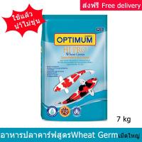 อาหารปลาคาร์ฟ ออพติมั่ม ไฮโปรสูตรบำรุงผิว Wheat Germ เม็ดใหญ่ 7กก. (1 ถุง) Optimum Hi Pro Carp Fish Food Wheat Germ for All Carp Breeds - Large Pallets 7kg (1 bag)