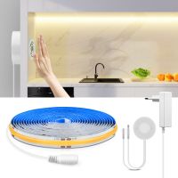 DC12V COB LED Light Strip With Dimmable Penetrable Wood Mirror Acrylic Wireless Hand Sweep Touch Sensor Switch For Room Decor LED Strip Lighting