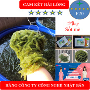 Rong Nho 100gr kèm sốt mè