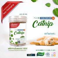 Catnip แคทนิป ขนาด 60g/30g/5g [คุ้มสุด] สดใหม่ หอมกลิ่นแรง สำหรับน้องแมวเหมียวแบบผง สะอาด กลิ่นแรง [พร้อมส่ง]