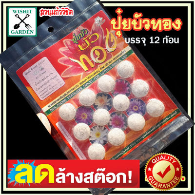 ปุ๋ยบัว ตราบัวทอง ขนาด 60 กรัม (12 เม็ด) สูตร 9-23-30 (N-P-K) ปุ๋ยใส่ไม้น้ำ ปุ๋ยใส่บัว ปุ๋ยเร่งสีดอกบัว สดใสกลีบดอกบัวแข็งแรง