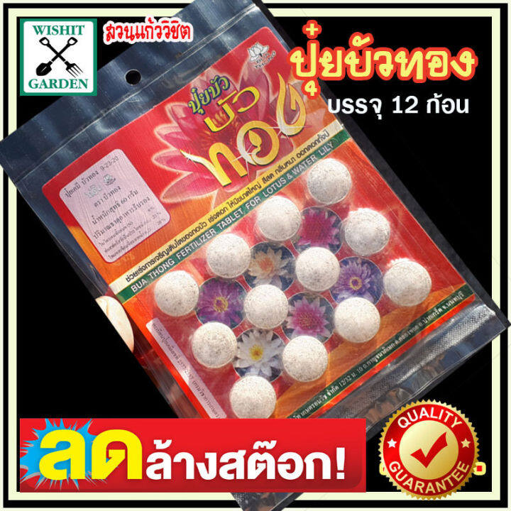 ปุ๋ยบัว-ตราบัวทอง-ขนาด-60-กรัม-12-เม็ด-สูตร-9-23-30-n-p-k-ปุ๋ยใส่ไม้น้ำ-ปุ๋ยใส่บัว-ปุ๋ยเร่งสีดอกบัว-สดใสกลีบดอกบัวแข็งแรง