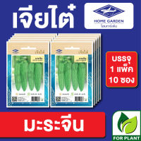 ผักซอง เจียไต๋ CT15 เมล็ดพันธุ์ พันธุ์ผัก มะระจีน บรรจุแพ็คล่ะ 10 ซอง ราคา 70 บาท