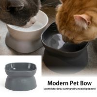 Pet Feeder Bowl Water Bowl Large Capacity Double-sided Available Pet Food And Pet Supplies