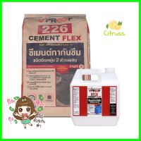 ซีเมนต์กันซึม VPROOF 226(A+B) 23 กก. สีเทาWATERPROOF CEMENT VPROOF 226(A+B) 23KG GREY **สอบถามเพิ่มเติมได้จ้า**