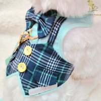 Glitter Pooch Harness ชุดรัดอก สายจูง เสื้อผ้า สุนัข, หมา, แมว, สัตว์เลี้ยง พร้อม สายจูง รุ่น Mint Suit Gentleman