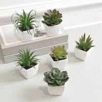 【CC】 6PCS Decoration Artificial Succulent Small Potted