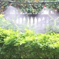 Woww สุดคุ้ม ✨【เตรียมจัดส่ง 】✨ชุดรดน้ำต้นไม้อัตโนมัติ สวน หยดชลประทานระบบชลประทานอัตโนมัติ โรงงาน รดน้ำ ท่อ ชุด ชลประทานปรับได้ Kit 1 ราคาโปร รดน้ำ อัตโนมัติ รดน้ำ ต้นไม้ อัตโนมัติ ระบบ รดน้ำ อัตโนมัติ สปริง เกอร์ รดน้ำ