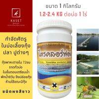 ไตรคลอร์ฟอน 1Kg กำจัดศัตรูในบ่อเพาะเลี้ยงสัตว์น้ำ แมลง กุ้ง ปู ในบ่อกุ้ง ในขั้นตอนการเตรียมน้ำ กำจัดเห็บปลา และ แมลงวันทองมะม่วงได้ By Kaset Delivery