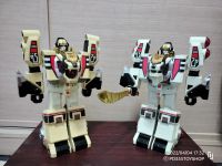 Dx วองไทเกอร์ วอนไทเกอร์ เสือขาว ไดเรนเจอร์ ขบวนการไดเรนเจอร์   DX Won Tiger White Tiger Zord supersentai  Dairanger