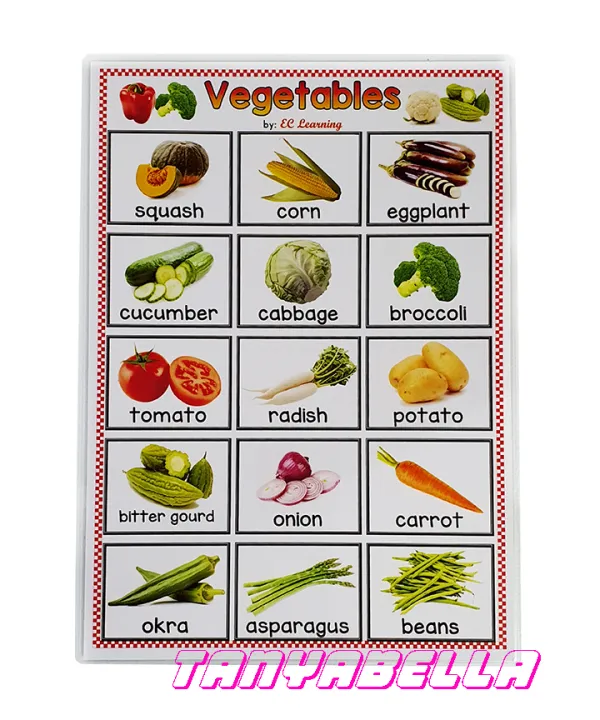 Educational Learning Chart for Kids Children (A4 Thick Laminated) Alphabet  Numbers Shapes Colors Fruits Vegetables Animals | Lazada PH