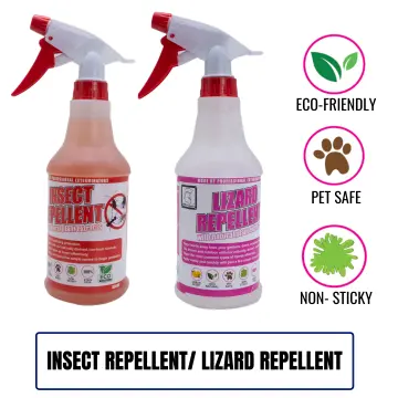 How to Use Lizard Control Products to Safeguard Your Home?, by BugsStop  Singapore