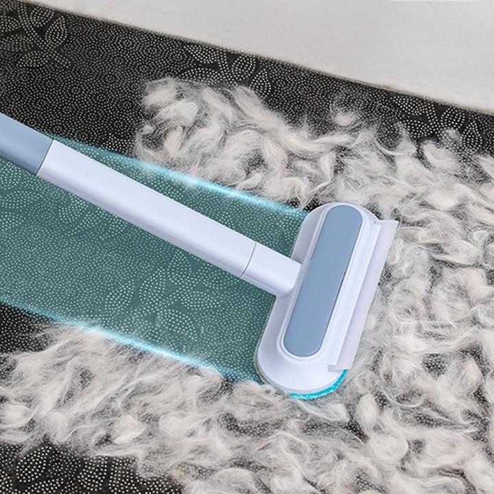 glass-mirror-cleaning-brush-a6y7