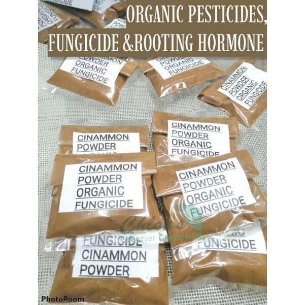 Cinnamon Powder Organic Fungicide Rooting Hormone and Pest killer for
