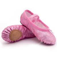 ETXBallet Dance Shoes Yoga Gym Flat Slippers Glitter Pink Blue Rose Red Colors Ballet Dance Shoes for Girls Children Women Teacher