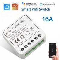 อุปกรณ์เปิด-ปิด Mini16A อัจฉริยะ Wi-Fi โคมไฟดักแมลงการเปิด-ปิดระบบไฟฟ้าและสวิตช์ควบคุมคู่แบบดั้งเดิม